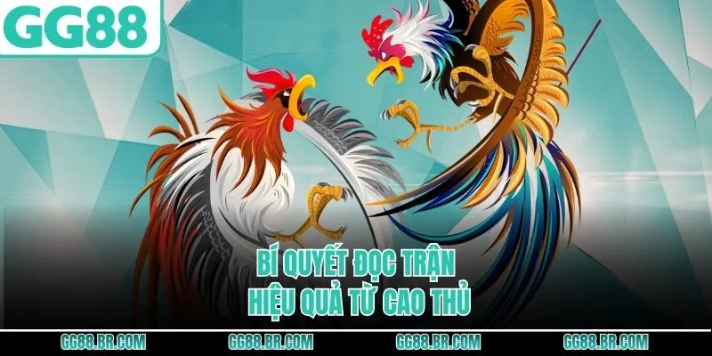 Bí quyết đọc trận hiệu quả từ cao thủ