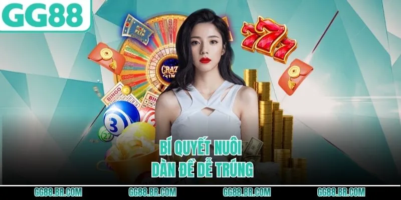 Bí quyết nuôi dàn đề dễ trúng