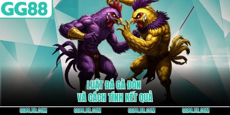 Luật đá gà đòn và cách tính kết quả
