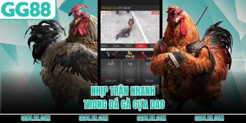 Cơ chế đặc thù trong đá gà cựa dao