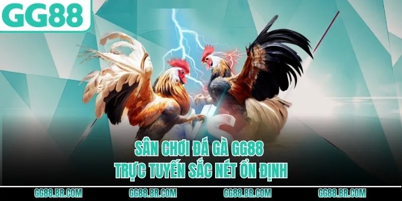 Sân chơi đá gà GG88 trực tuyến sắc nét ổn định